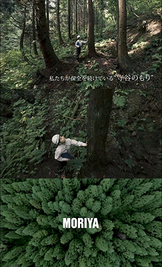 守谷 ニュース 1.jpg