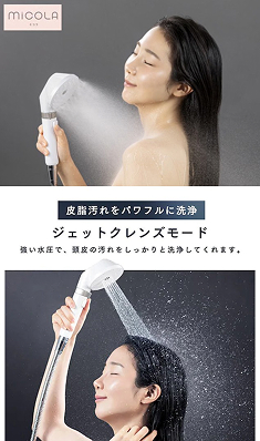 アイリスオーヤマ ニュース・web 2.jpg